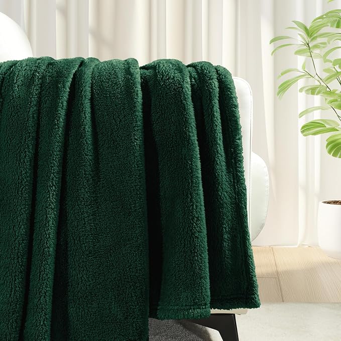 Exclusivo Mezcla Queen Size Blanket for Bed, Super Soft Velvet Plush Fleece Blankets, Fuzzy Cozy and Warm for Winter, 90x90 Inches, Forest Green