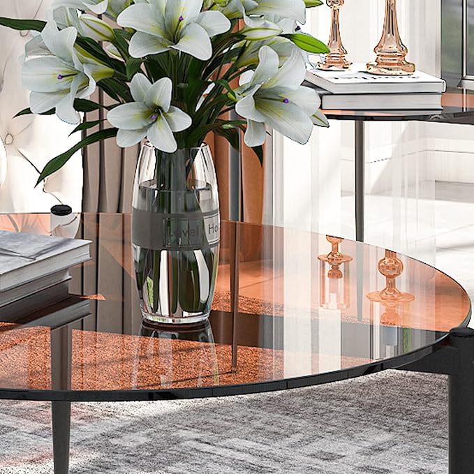 Round Tempered Glass Table 31.5 inch Large Circle Top Metal Frame Brown