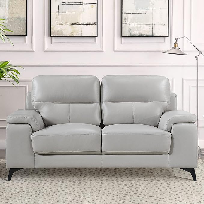 Lexicon Leather Loveseat Sofa, Modern Couch Sofa, Oversized Loveseat, Top Grain Leather Couch for Living Room, Bedroom, Office, Apartment, 2-Seater Loveseat, Silver Gray