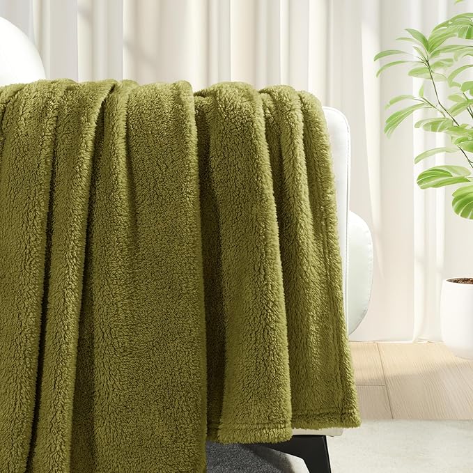 Exclusivo Mezcla Queen Size Blanket for Bed, Super Soft Velvet Plush Fleece Blankets, Fuzzy Cozy and Warm for Winter, 90x90 Inches, Olive Green