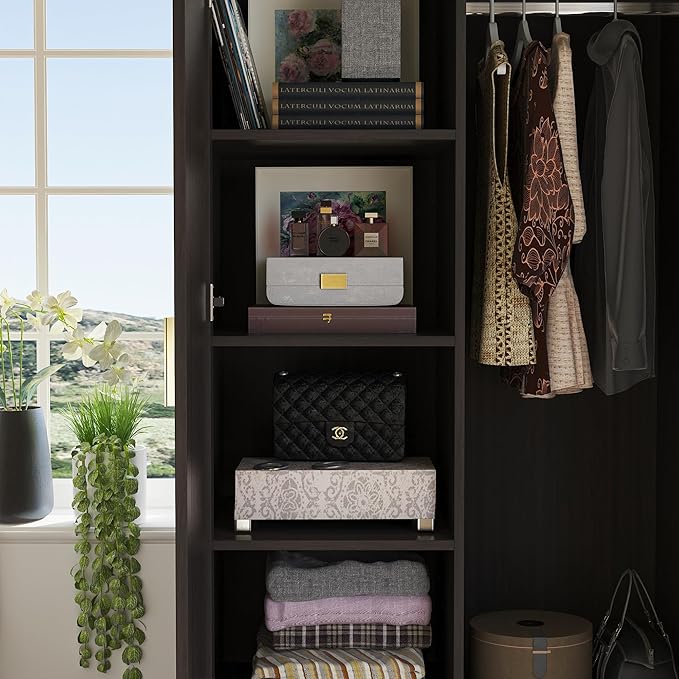 AIEGLE 2 Doors Wardrobe Armoire with Mirror, Mirrored Armoire Wardrobe Closet with 2 Drawers, Shelves & Hanging Rod, Bedroom Wooden Clothes Organizer, Dark Brown (31.5" W x 18.9" D x 72" H)