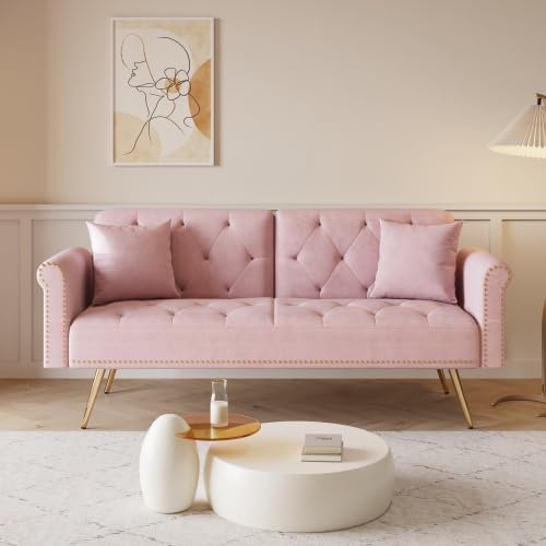 Convertible Futon Sofa Bed , Adjustable Sleeper Couch Modern Velvet Tufted Recliner Reversible Loveseat Folding Daybed Guest Bed Sofacama w/ Nailhead Trim and Golden Metal Legs for Living Room Office