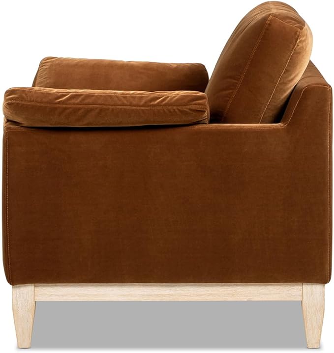 Jennifer Taylor Home Pasadena 36" Wide Modern Farmhouse Accent Arm Chair, Burnt Orange Performance Velvet