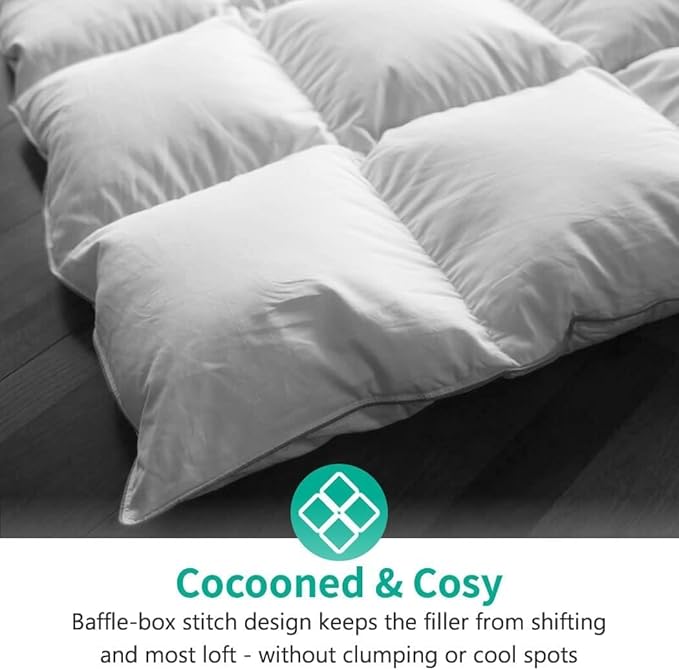 APSMILE Luxury Down Feather Fibers Comforter Oversized Queen Size, Ultra-Soft High Fill-Power Duvet Insert for Winter, Heavy Weight Comforter, Fluffy Down Feather Fibers Duvet for Bed (98x98, White)
