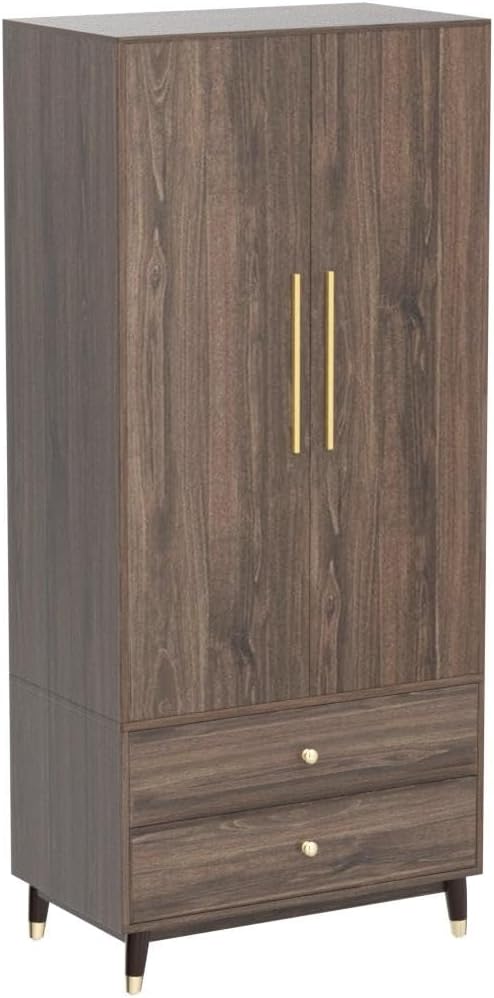 Hitow Wardrobe Armoire Closet with 2 Doors, Wardrobe Cabinet with 2 Drawers & Hanging Rod, Bedroom Armoire Clothes Organizer with Gold Handles, Type B Brown (31.5" W x 19.1" D x 65.1" H)