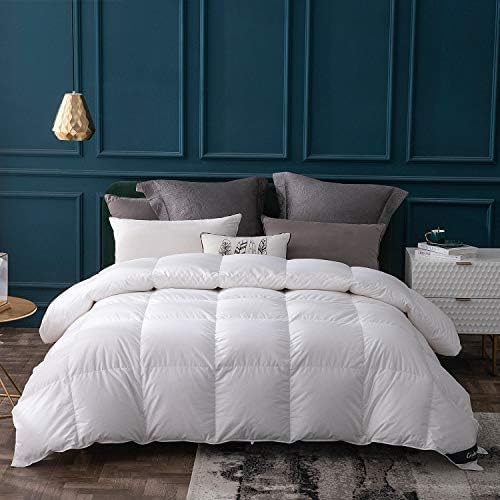 Globon Queen Goose Down Comforter,800 Fill Power All Seasons Luxury Duvet Insert,420 Thread Count Soft Noiseless Shell, Medium Weight with 8 Corner Tabs, White