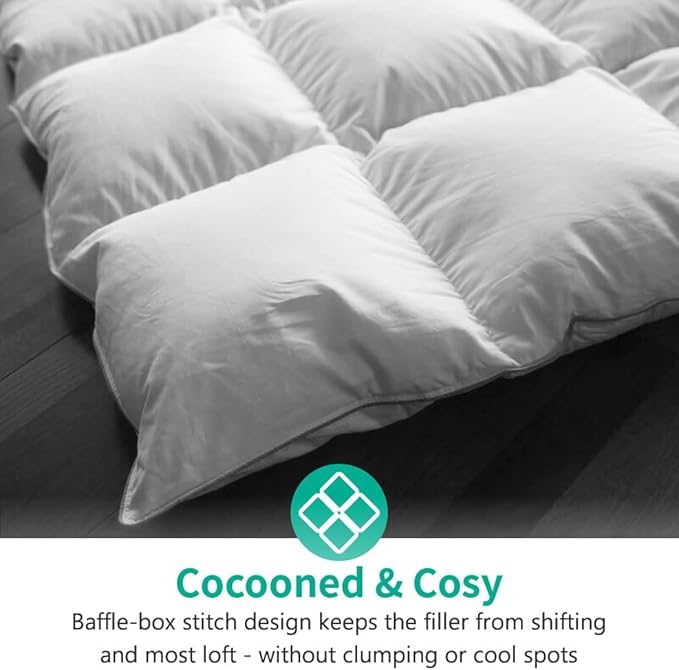 APSMILE Lightweight Down Feather Fibers Comforter Oversized Queen/Full Size, Light Warmth Duvet Insert for Hot Sleepers/Warm Weather -High Fill-Power Hotel Collection Comforter(98x98,White)