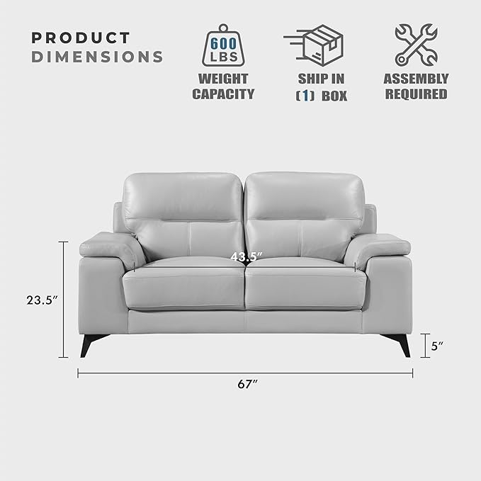 Lexicon Leather Loveseat Sofa, Modern Couch Sofa, Oversized Loveseat, Top Grain Leather Couch for Living Room, Bedroom, Office, Apartment, 2-Seater Loveseat, Silver Gray
