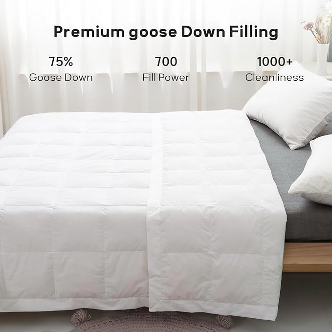Globon Lightweight Goose Down Comforter Queen Size, Summer Blanket for Hot Sleepers, Soft Noiseless Shell, Breathable Duvet Insert 96x88 inch White