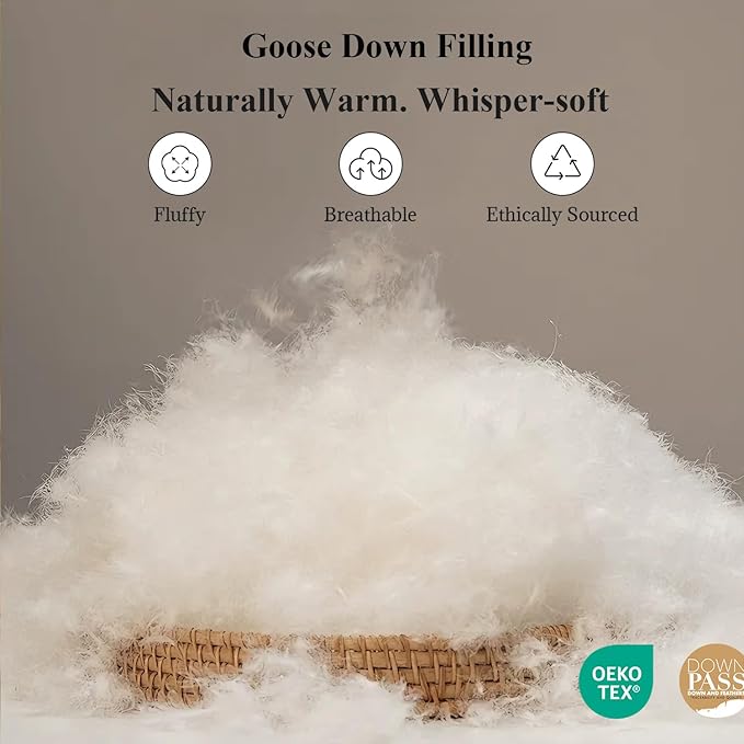Globon Winter White Goose Down Comforter Queen Size,Down Duvet Insert,800 Fill Power,420 Thread Count Ultra Soft Noiseless Shell with Corner Tabs,White