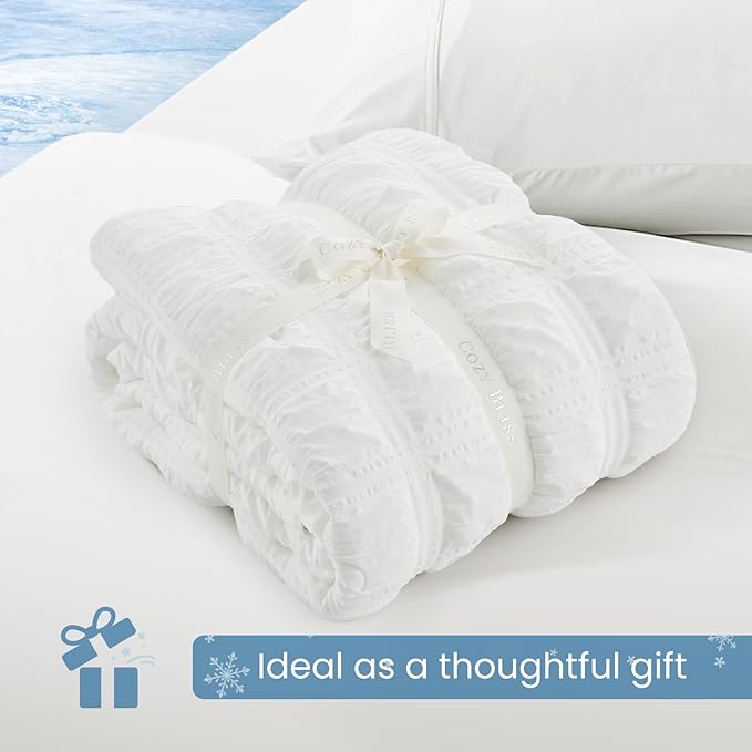 Cozy Bliss Cooling Comforter Seersucker Plaid Queen Size, Q-Max 0.45 Lightweight Cooling Blanket, Breathable Silk Smooth Summer Bedding Quilt for Hot Sleepers Night Sweats White