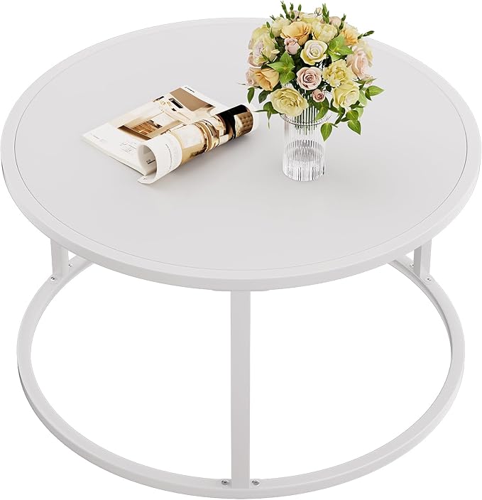 SAYGOER Small Round Coffee Table, White Coffee Tables for Living Room, Modern Center Table for Small Space Home Office Gardern, 27.6 × 27.6 × 17.7inch, White