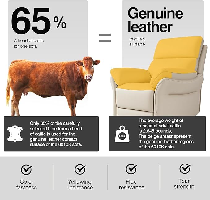 AIRSKY Genuine Leather Recliner Chair, Top Grain Leather, Italian Water-Washing Process, Lazy boy Recliner Chair, for Living Room, Theater Seating, Bedroom, Beige,R1