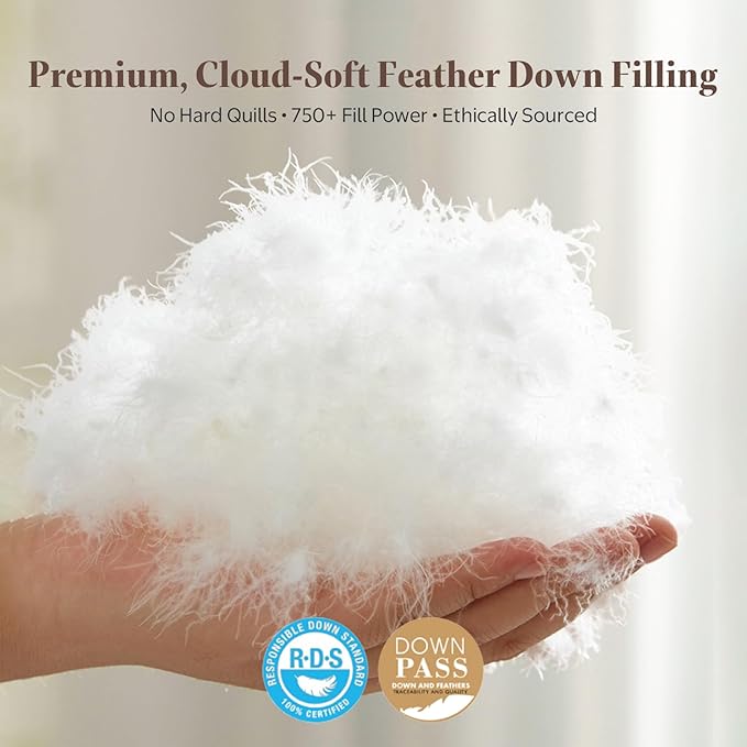Luxury Goose Down Feather Fiber Comforter Queen Size - Ultra-Soft Egyptian Cotton Blend Cover, Fluffy High Fill-Power All Season Hotel Duvet Insert(90x90 inch, White)