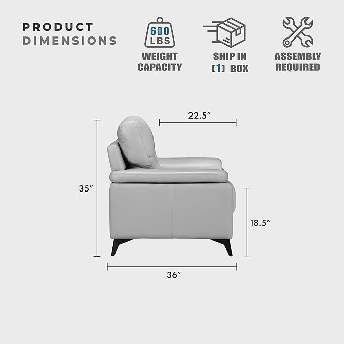 Lexicon Leather Loveseat Sofa, Modern Couch Sofa, Oversized Loveseat, Top Grain Leather Couch for Living Room, Bedroom, Office, Apartment, 2-Seater Loveseat, Silver Gray