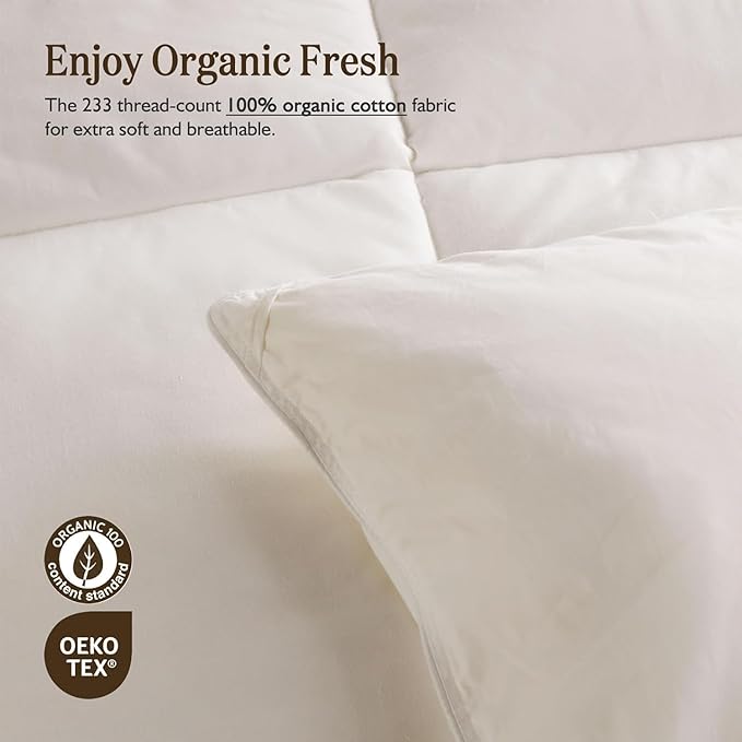 BPC Feather Down Comforter Queen Size, Hotel-Luxury Fluffy Duvet Insert with Organic Cotton Cover and Puffy Feather Down Filling for All-Season, Ivory White, 90x90 Inches
