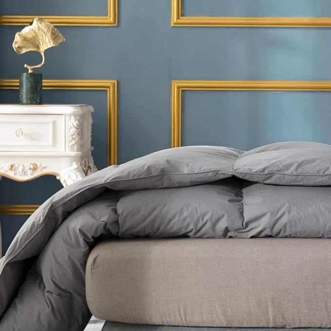 Globon Fusion White Goose Down Comforter Queen Size, Heavy Weight Duvet Insert for Winter 50 Ounce, All Cotton Shell,with Corner Tabs, Winter, Grey