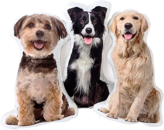 Pet Loss Dog Cat Pillow Animal Pillow Memory Pillow Custom Pet Portrait Bed Pillow (16", Colorful)