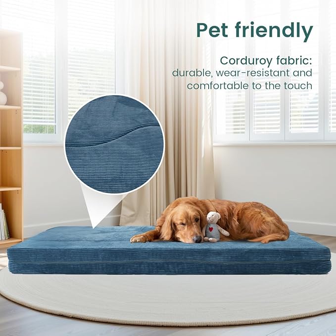 75" Folding Sofa Bed Convertible Futon, Twin Size Sleeper Couch, Washable Velvet Corduroy Cover & High-Density Foam, 2-in-1 Floor Mattress, No Assembly for Living Room/Dorm Blue
