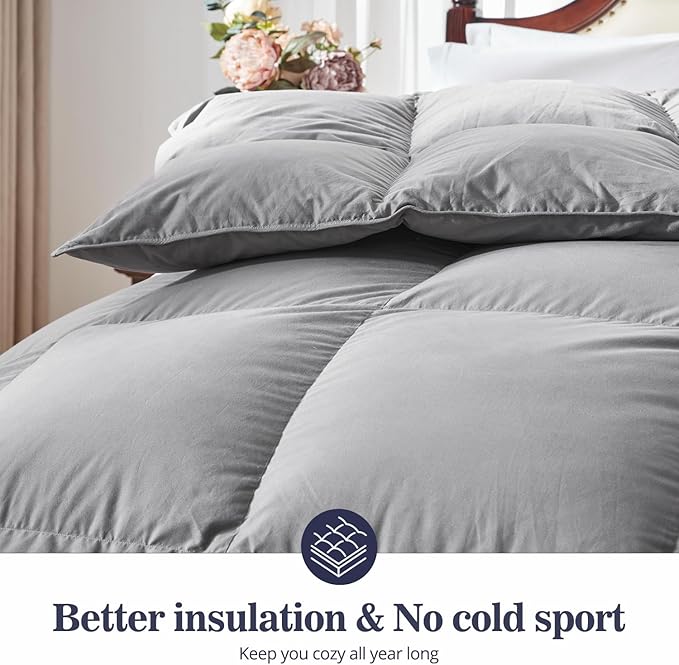 Globon Down Comforter California King Size，All Season Duvet Insert，Soft Noiseless Shell, Medium Weight with 8 Corner Tabs, Grey…