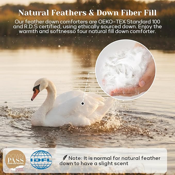 Joysoul Twin Size Down Comforter - All Season Ultra Soft Goose Down & Feather Fiber Fill, Luxury Hotel Pink Duvet Insert with Corner Tabs (68" X 88")