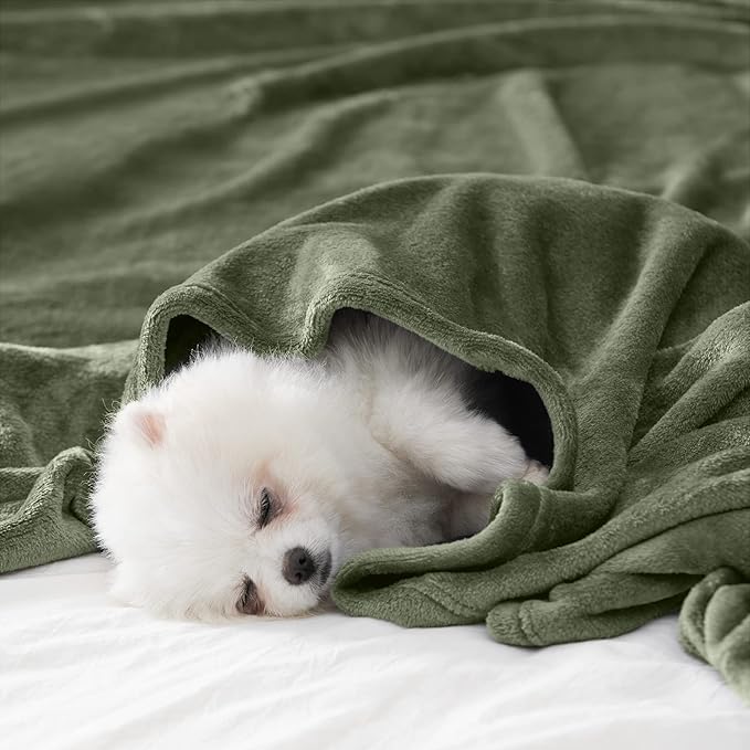 BEAUTEX Fleece Blanket King Size Super Soft Flannel Throw Blanket Lightweight Fuzzy Plush Blanket for Couch Sofa or Bed All Seasons (Olive Green, 108" x 90")