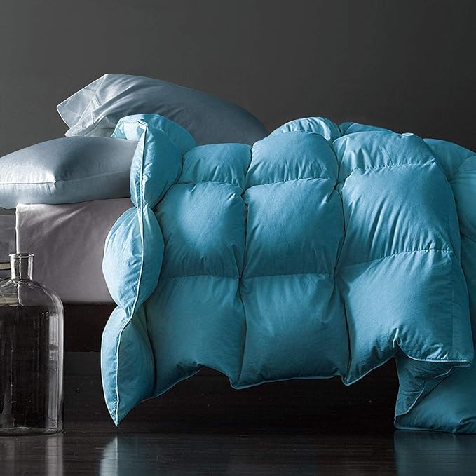 Royoliving Premium Feathers Down Duvet Insert Comforter Twin Size Heavyweight Thickened Winter Turquoise 100% Cotton Cover with Corner Tabs (68x90, 45 oz)