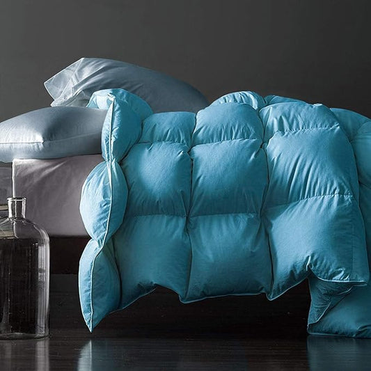 Royoliving Premium Feathers Down Duvet Insert Comforter Twin Size Heavyweight Thickened Winter Turquoise 100% Cotton Cover with Corner Tabs (68x90, 45 oz)