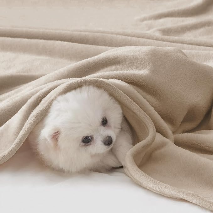BEAUTEX Fleece Blanket Queen Size Super Soft Flannel Throw Blanket Lightweight Fuzzy Plush Blanket for Couch Sofa or Bed All Seasons (Ivory, 90" x 90")