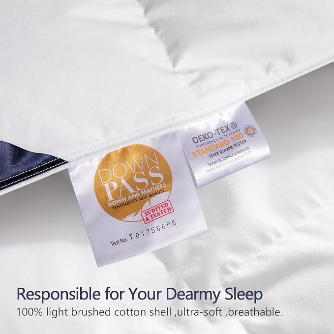 Globon Queen Size Down Comforter - All Season Duvet Insert with Medium Warmth, Soft and Noiseless Cover,8 Corner Tabs,Machine Washable - White