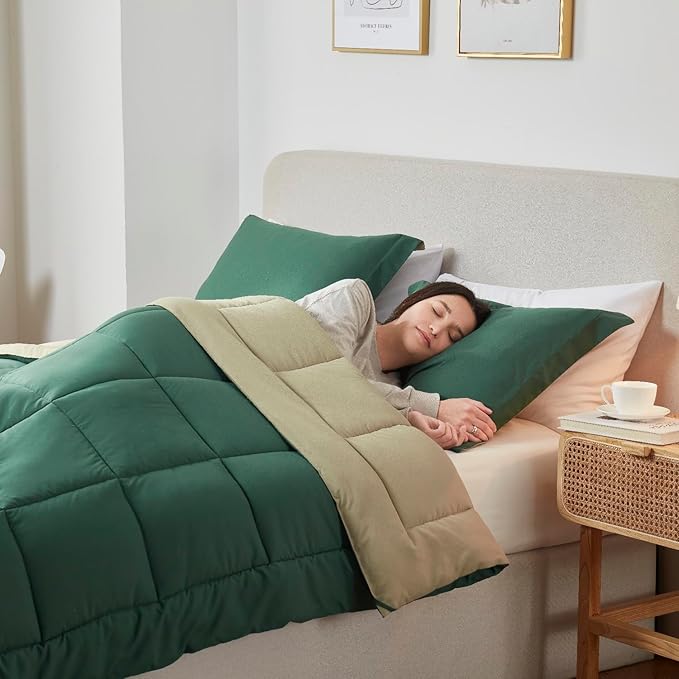 Nestl 3 Piece Quilted Down Alternative Comforter Queen Size with 2 Pillow Shams, All Season Green/Light Green Duvet Inserts with Corner Tabs