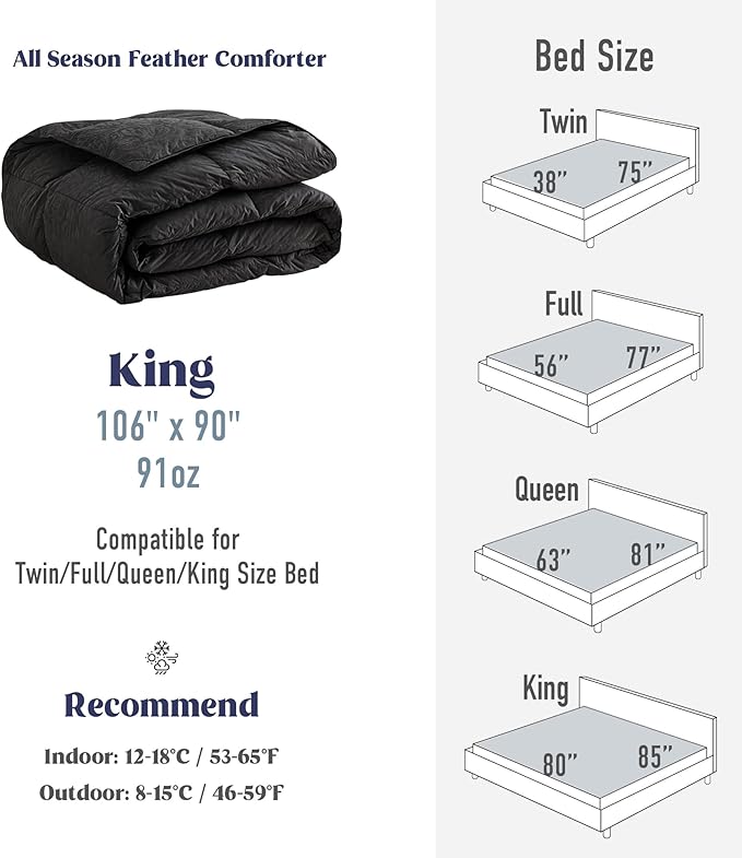 DAICO Goose Feather Down Comforter King Size, All Season Luxury Hotel Fluffy Duvet Insert, Ultra Soft 100% Cotton Shell with 8 Corner Tabs, Paisley Design (106x90'', Black)