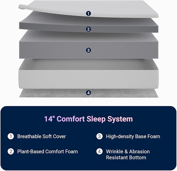 Avenco Queen Mattress 14 Inch, Queen Size Mattresses Medium Firm for Back Pressure Relief, Mattress in a Box CertiPUR-US Certified Foam Colchones