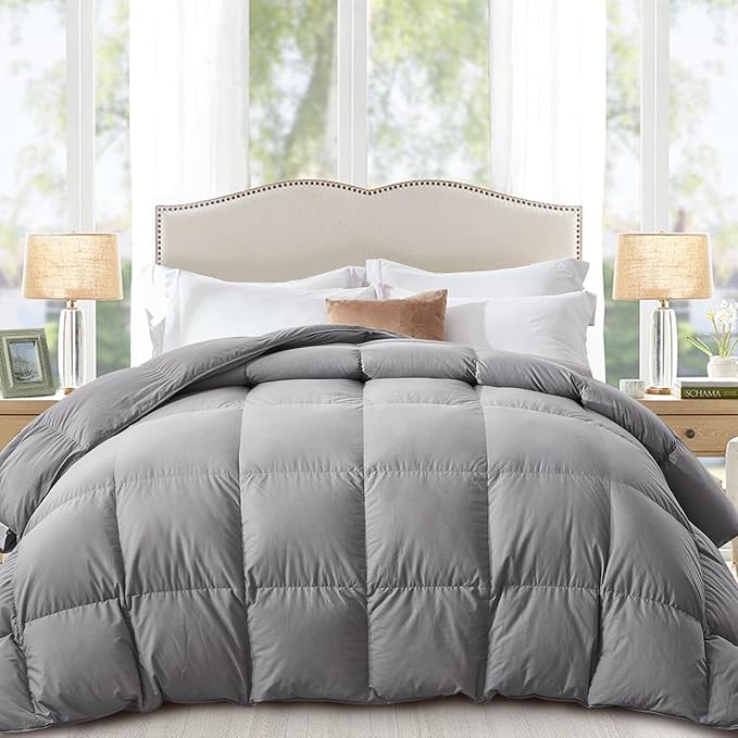 Globon Down Comforter Queen Size,All Season Duvet Insert Ultra-Soft Noiseless Shell,Mediumweight with 8 Corner Tabs, Grey