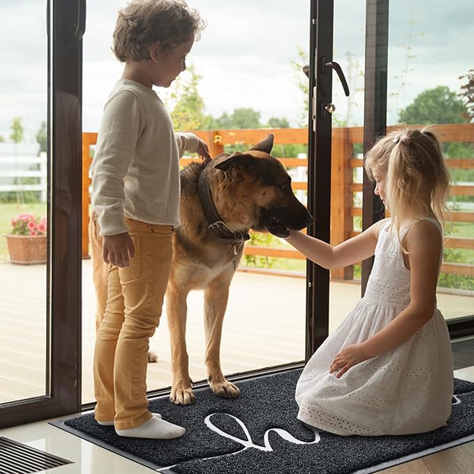 BeneathYourFeet Door Mat (32"x20",Black), Welcome Mat Low Profile Front Doormat Indoor Outdoor Door Non Slip Rugs for Entryway, Patio, High Traffic Areas - Image 2