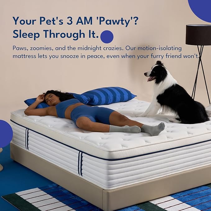 Full Size Mattress 12 Inch with Zoned Support, Medium Feel, Reinforced Edge Coils & Pressure-Relief Foam, Fiberglass-Free, CertiPUR-US Certified (12 Inch, Full (U.S. Standard))