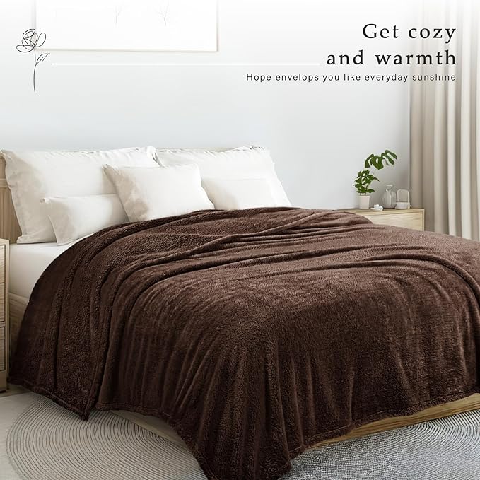 Exclusivo Mezcla Queen Size Blanket for Bed, Super Soft Velvet Plush Fleece Blankets, Fuzzy Cozy and Warm for Winter, 90x90 Inches, Coffee