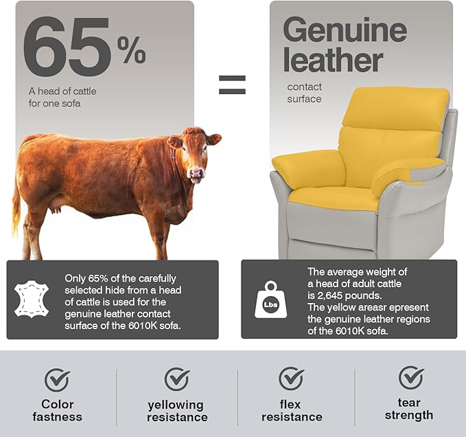 AIRSKY Genuine Leather Recliner Chair, Top Grain Leather, Italian Water-Washing Process, Living Room Chair with Lumbar Support,for Theater Seating, Bedroom, Grey,R1