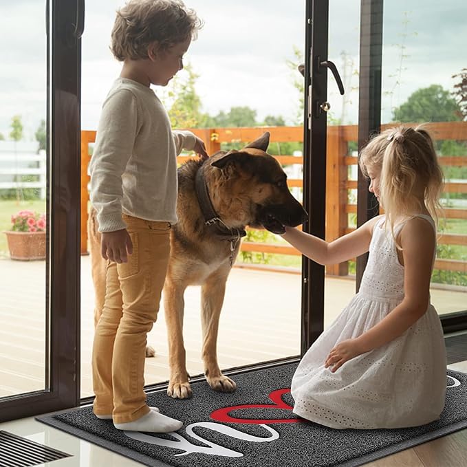 BeneathYourFeet Door Mat, Welcome Mat Low Profile Floor Mat Front Doormat Indoor and Outdoor Doormat Non Slip Rugs for Entryway, Patio, High Traffic Areas (36"x24", Grey-Home) - Image 2