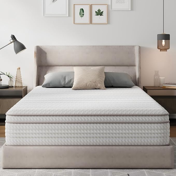 Novilla 10 Inch Queen Size Mattress in a Box, Hypoallergenic & Back Pain Relief, Hybrid Queen Mattresses with Smarts Coils, Fiberglass Free CertiPUR-US Certified Colchones No Box Spring Needed