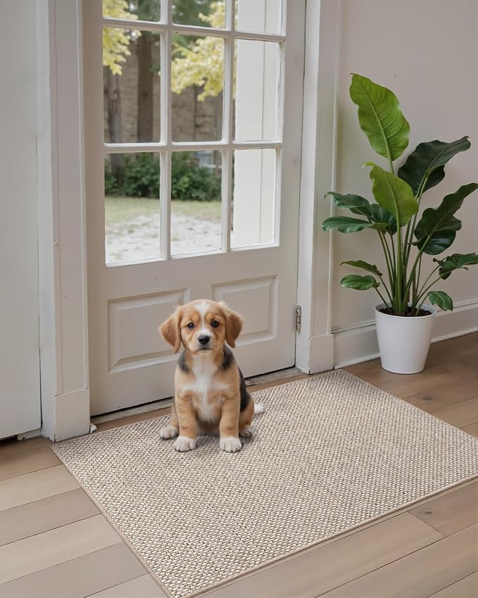 DEXI Ultra Thin Door Mat Indoor Entrance 32x48, Non Slip Rubber Backed Entryway Mats Dirt Trapper, Low Profile Front Doormat for Inside Entry, Patio, Porch, Beige - Image 9