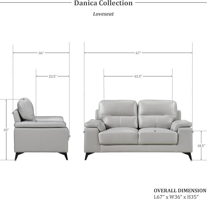 Lexicon Danica Top Grain Leather 2-Piece Living Room Sofa Set, Silver Gray