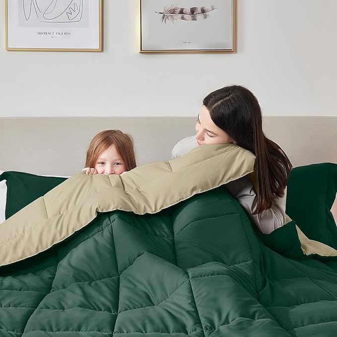 Nestl 3 Piece Quilted Down Alternative Comforter Oversized King Size with 2 Pillow Shams, All Season Green/Light Green Duvet Inserts with Corner Tabs