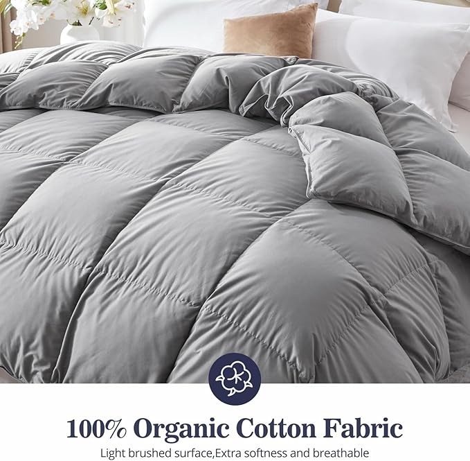 Globon Down Comforter Queen Size,All Season Duvet Insert Ultra-Soft Noiseless Shell,Mediumweight with 8 Corner Tabs, Grey