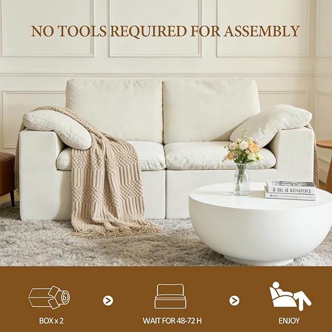 ANONER 78" Loveseat Sofa, Deep Seats, Cloud Sectional Couches for Living Room, 2 Seater Boneless Couch, Modern Modular Loveseats, No Assembly, Beige | Adjustable Backrest, Premium Chenille, 29.3" Deep Seat
