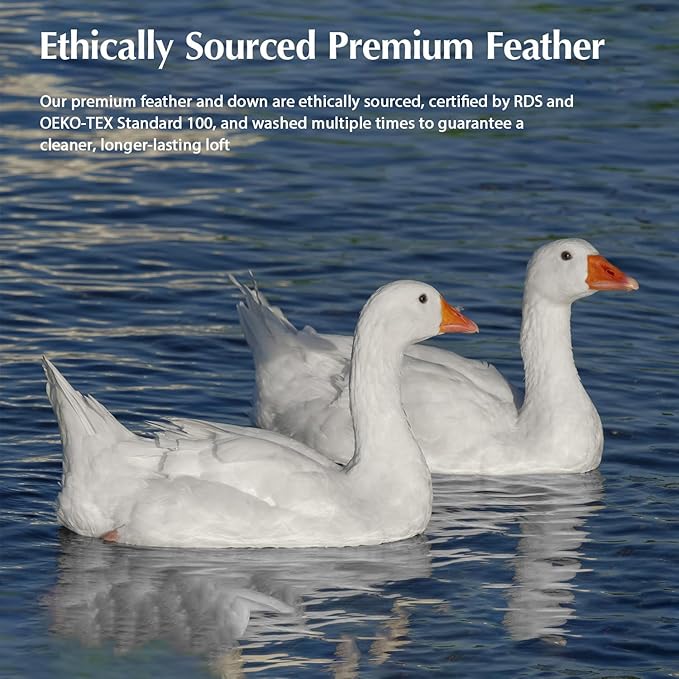 Pacific Coast Goose Feather Down Comforters Queen Size, Extra Fluffy White Duvet Insert, Soft, Breathable, All Season Hotel Luxury Bedding Comforters, 8 Corner & Center Loops (90"x90")