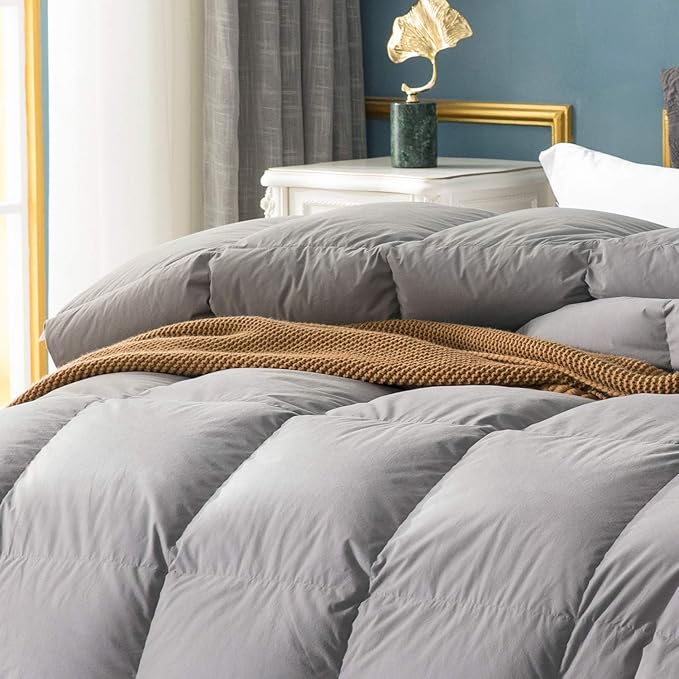 Globon Winter Down Comforter Twin Size,Heavyweight Duvet Insert with 8 Corner Tabs,Noiseless Soft Shell,Machine Washable,White