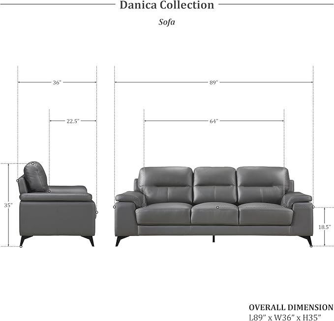 Lexicon Danica Top Grain Leather 2-Piece Living Room Sofa Set, Dark Gray