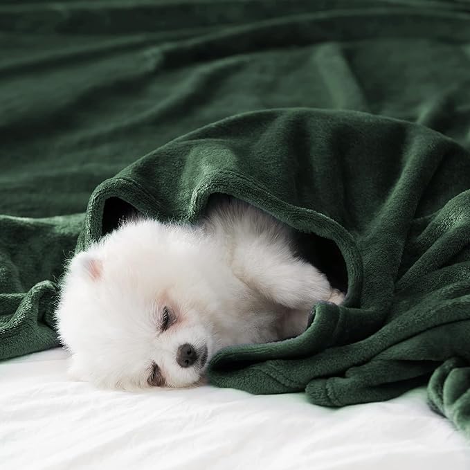 BEAUTEX Fleece Throw Blanket for Couch Sofa or Bed??? Throw Size Soft Fuzzy Plush Blanket, Luxury Flannel Lap Blanket, Super Cozy and Comfy for All Seasons (Emerald Green, 50" x 60")