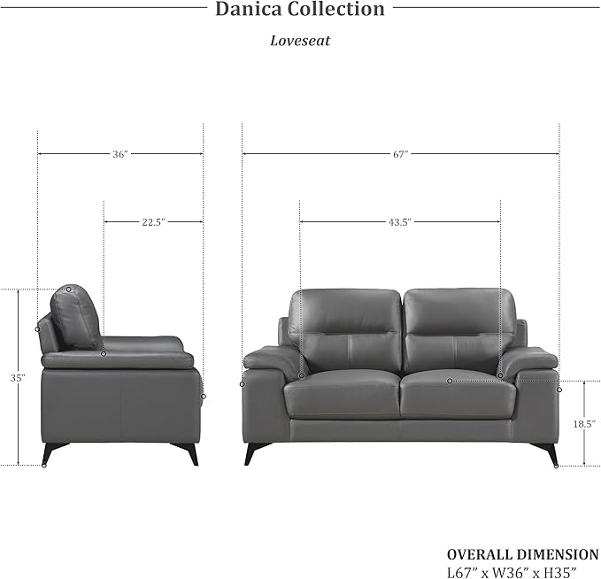 Lexicon Danica Top Grain Leather 2-Piece Living Room Sofa Set, Dark Gray